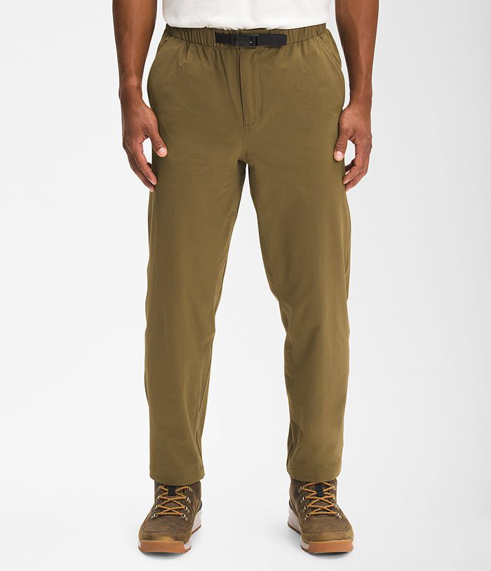 The North Face Mens Pants Tech Easy 073HSICUE - Brown